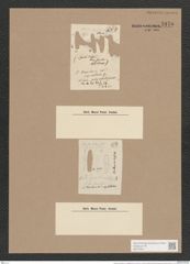 Synedra vaucheriae var. capitellata Grun. (de-Toni-Nr.: Genus 66, Species 2583) Zeichnungen Sammlung Grunow Nr. 5175 (NHMW-BOT-W0373501)